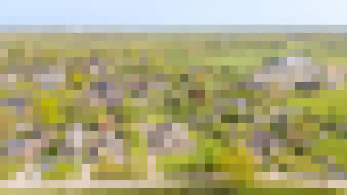 It Heechsân 9 Eastermar thumbnail 6