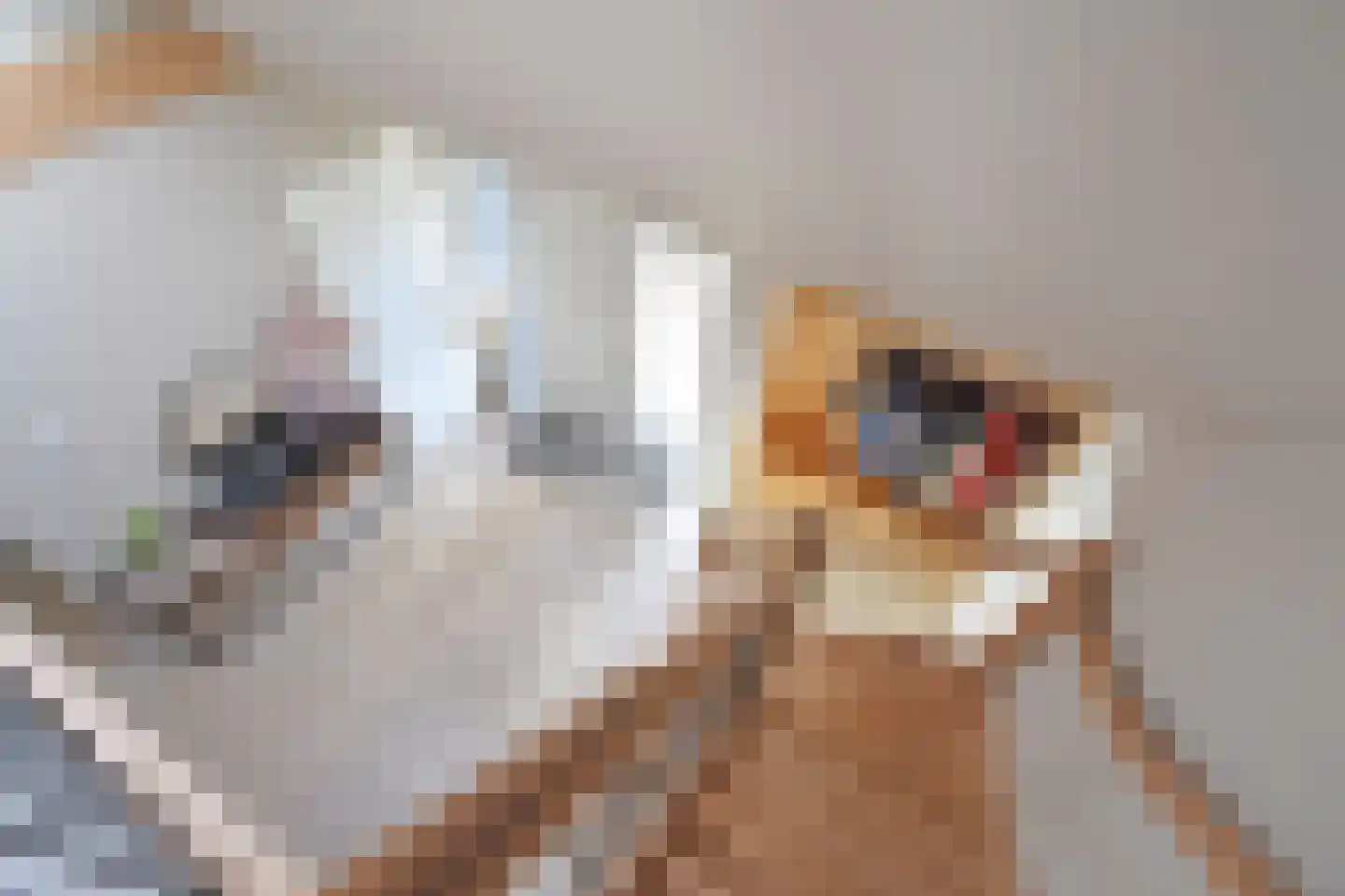 It Heechsân 9 Eastermar thumbnail 68