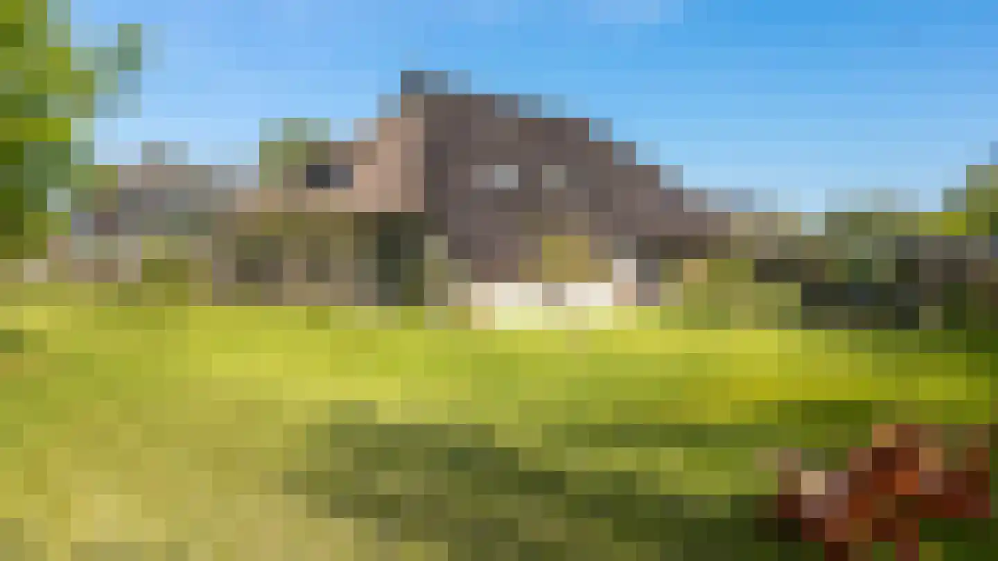 It Heechsân 9 Eastermar thumbnail 9