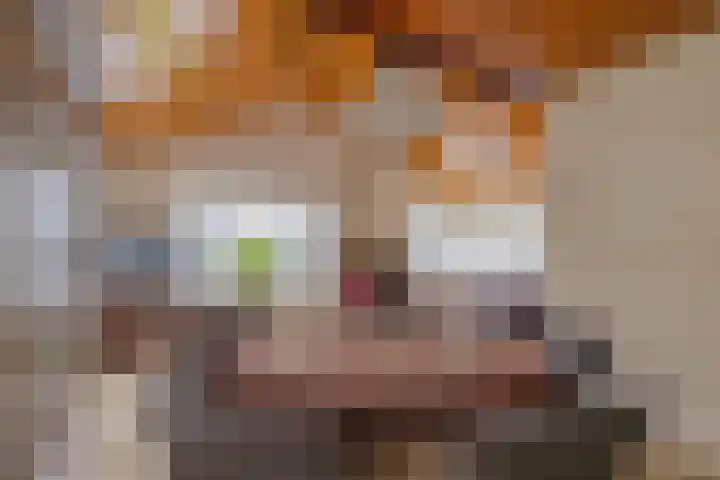 It Heideloantsje 20 Twijzelerheide thumbnail 12