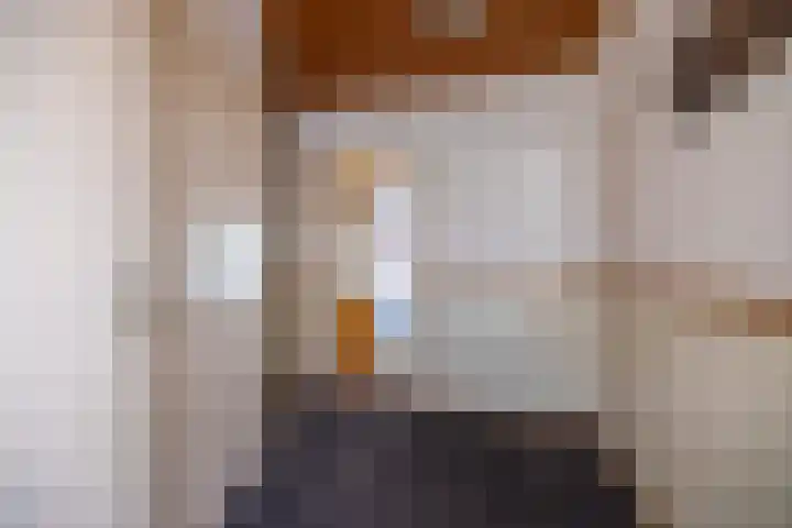 It Heideloantsje 20 Twijzelerheide thumbnail 13