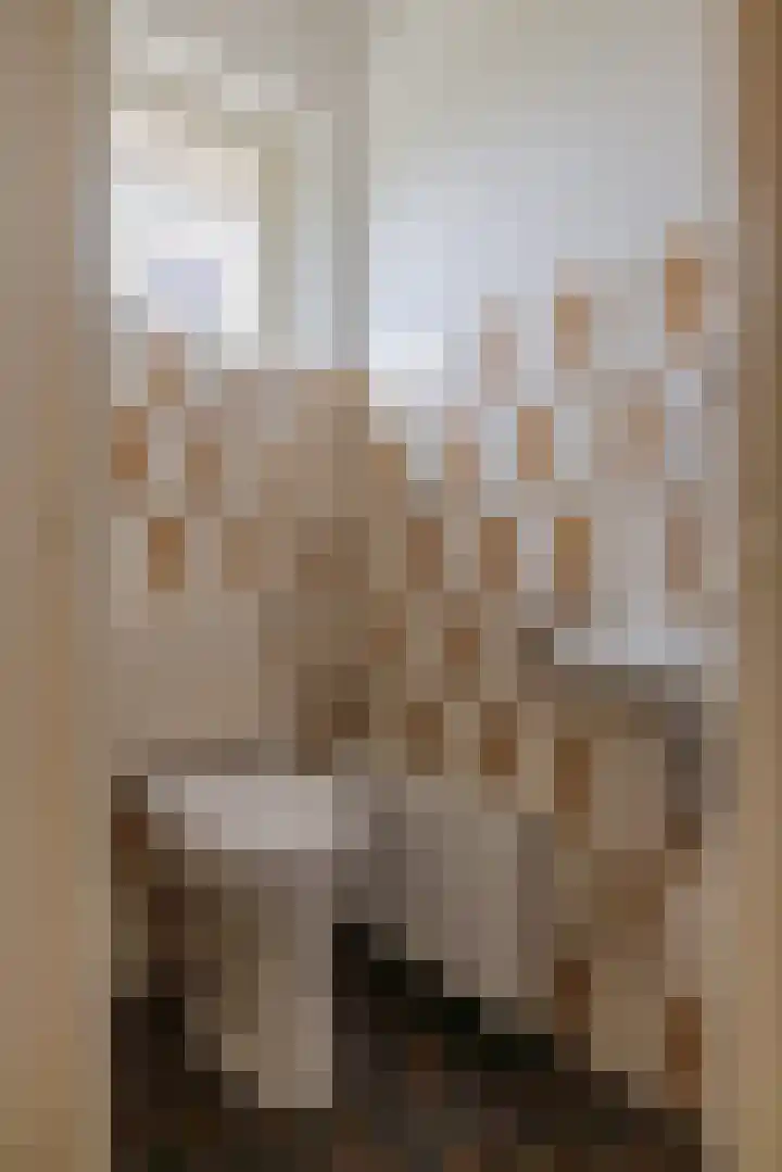 It Heideloantsje 20 Twijzelerheide thumbnail 15