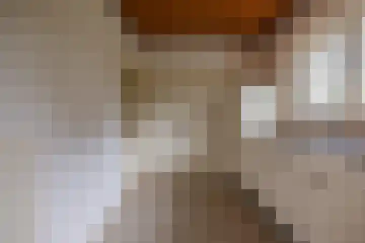 It Heideloantsje 20 Twijzelerheide thumbnail 17