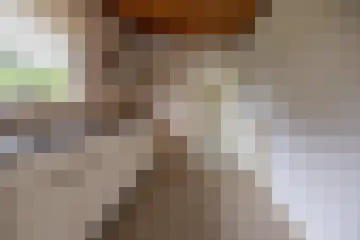 It Heideloantsje 20 Twijzelerheide thumbnail 18