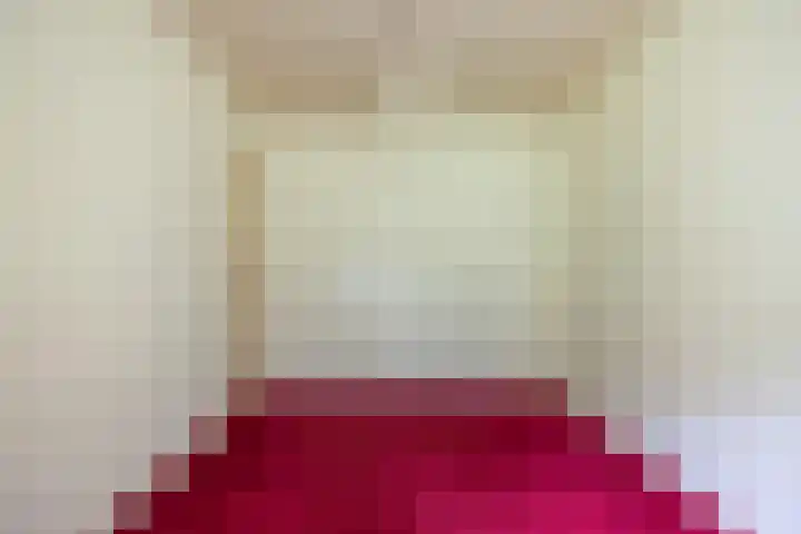 It Heideloantsje 20 Twijzelerheide thumbnail 22