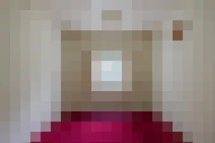 It Heideloantsje 20 Twijzelerheide thumbnail 23