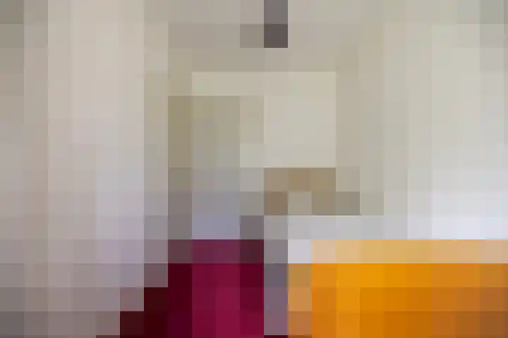It Heideloantsje 20 Twijzelerheide thumbnail 25