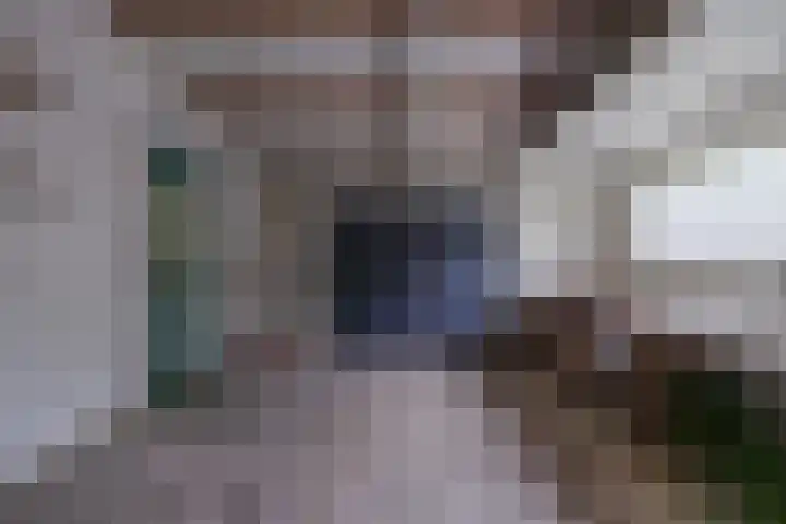 It Heideloantsje 20 Twijzelerheide thumbnail 28