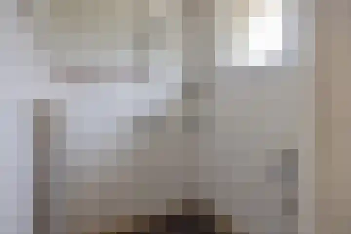 It Heideloantsje 20 Twijzelerheide thumbnail 29