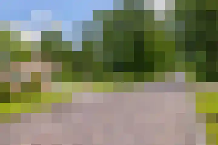 It Heideloantsje 20 Twijzelerheide foto 3