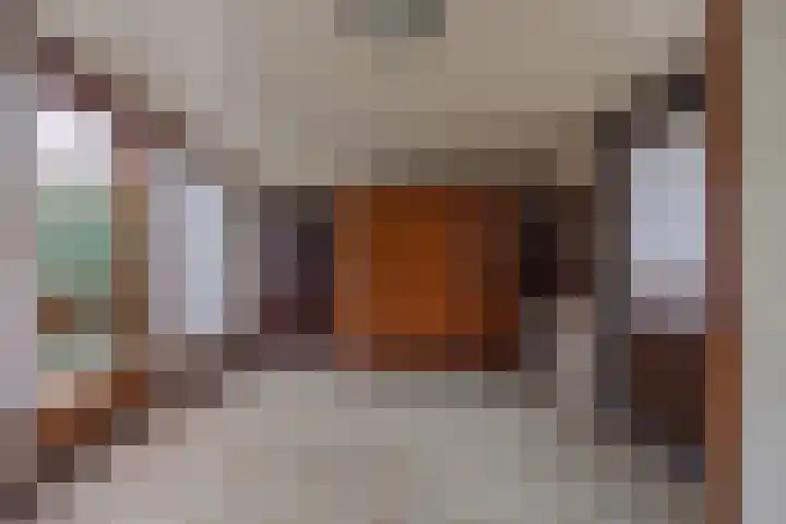 It Heideloantsje 20 Twijzelerheide thumbnail 32
