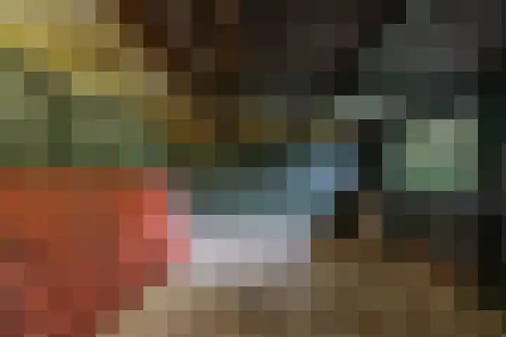 It Heideloantsje 20 Twijzelerheide thumbnail 34