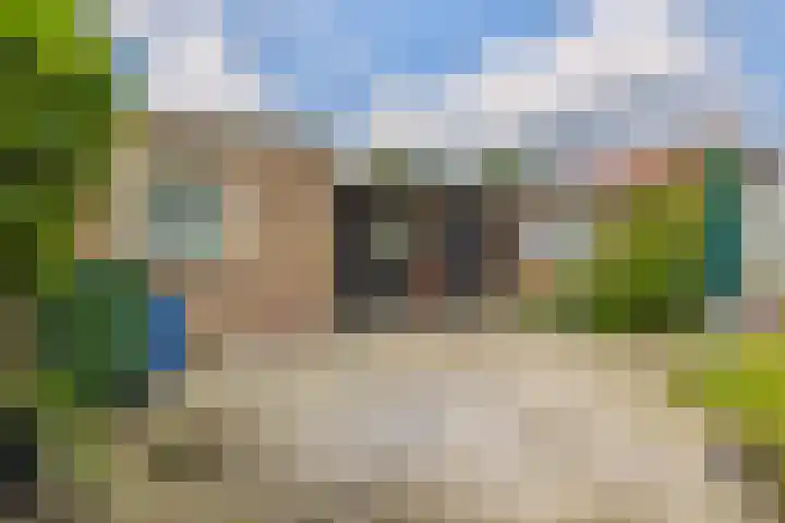 It Heideloantsje 20 Twijzelerheide thumbnail 35