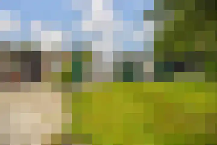 It Heideloantsje 20 Twijzelerheide thumbnail 36