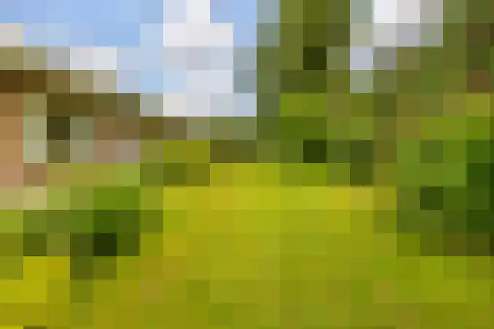 It Heideloantsje 20 Twijzelerheide thumbnail 38