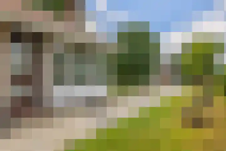 It Heideloantsje 20 Twijzelerheide thumbnail 4
