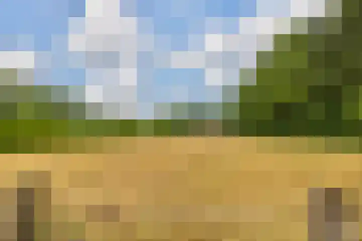 It Heideloantsje 20 Twijzelerheide thumbnail 41