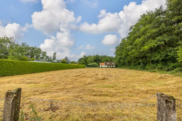 It Heideloantsje 20 Twijzelerheide thumbnail 41