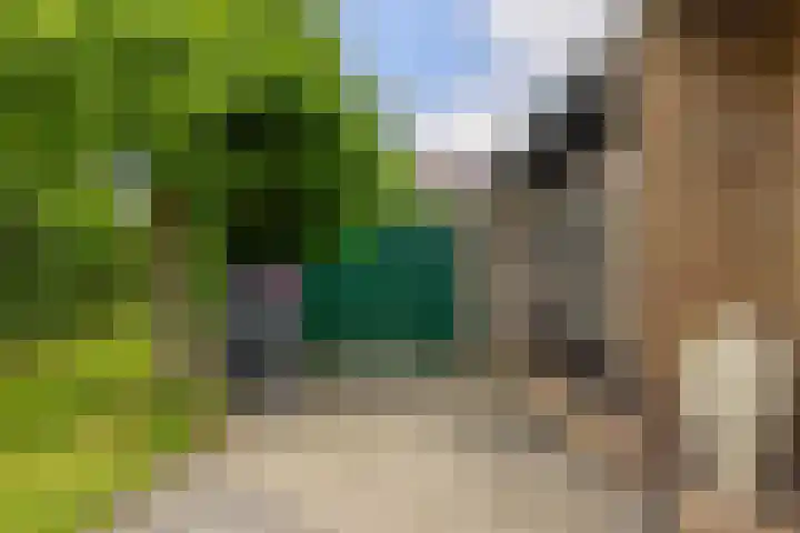 It Heideloantsje 20 Twijzelerheide thumbnail 42