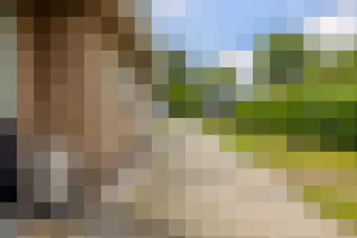 It Heideloantsje 20 Twijzelerheide thumbnail 43