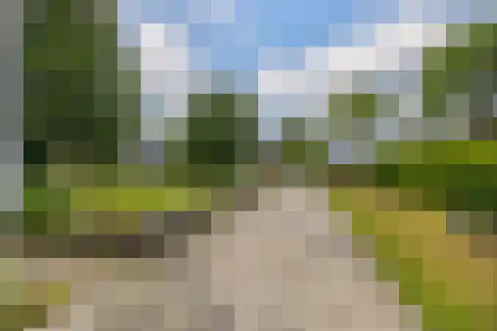 It Heideloantsje 20 Twijzelerheide thumbnail 44