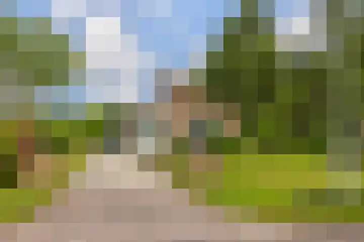 It Heideloantsje 20 Twijzelerheide thumbnail 45