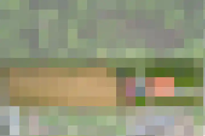 It Heideloantsje 20 Twijzelerheide thumbnail 46