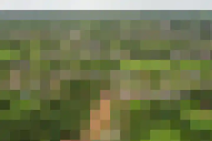 It Heideloantsje 20 Twijzelerheide thumbnail 48