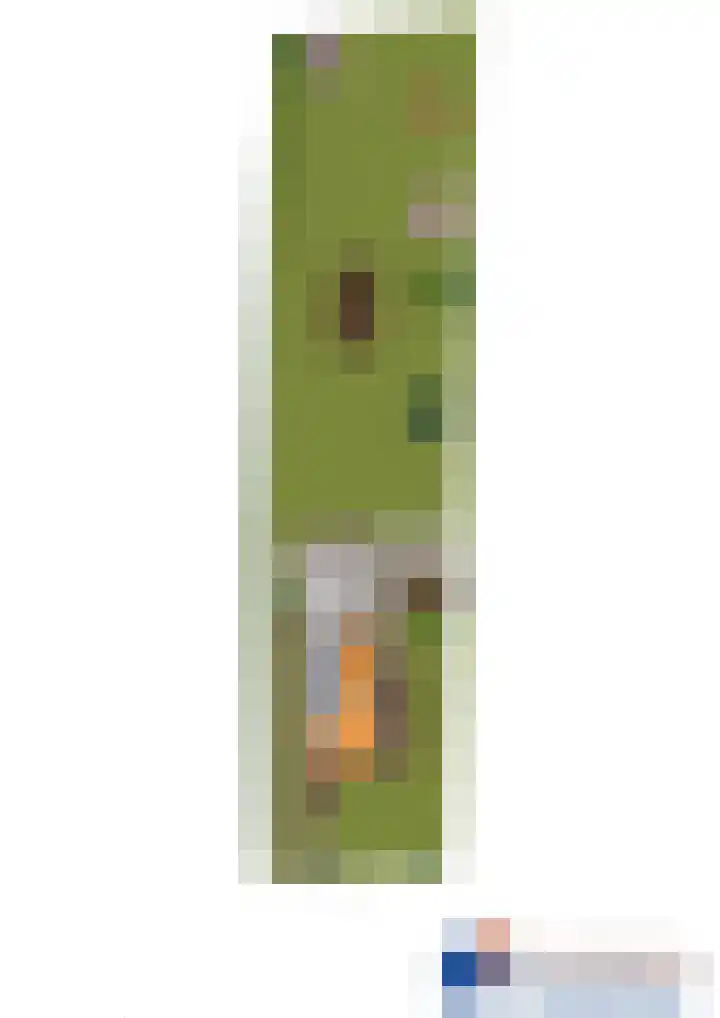 It Heideloantsje 20 Twijzelerheide thumbnail 53