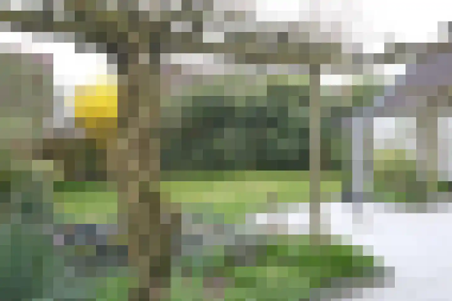 It Heideloantsje 53 A Twijzelerheide thumbnail 28