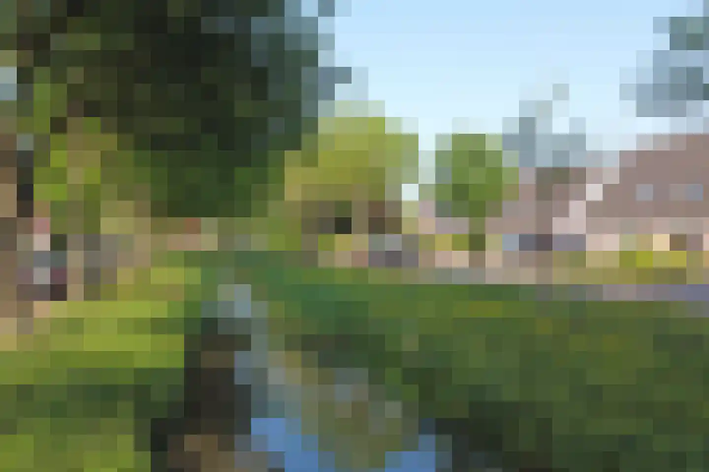 It Heideloantsje 53 A Twijzelerheide thumbnail 4