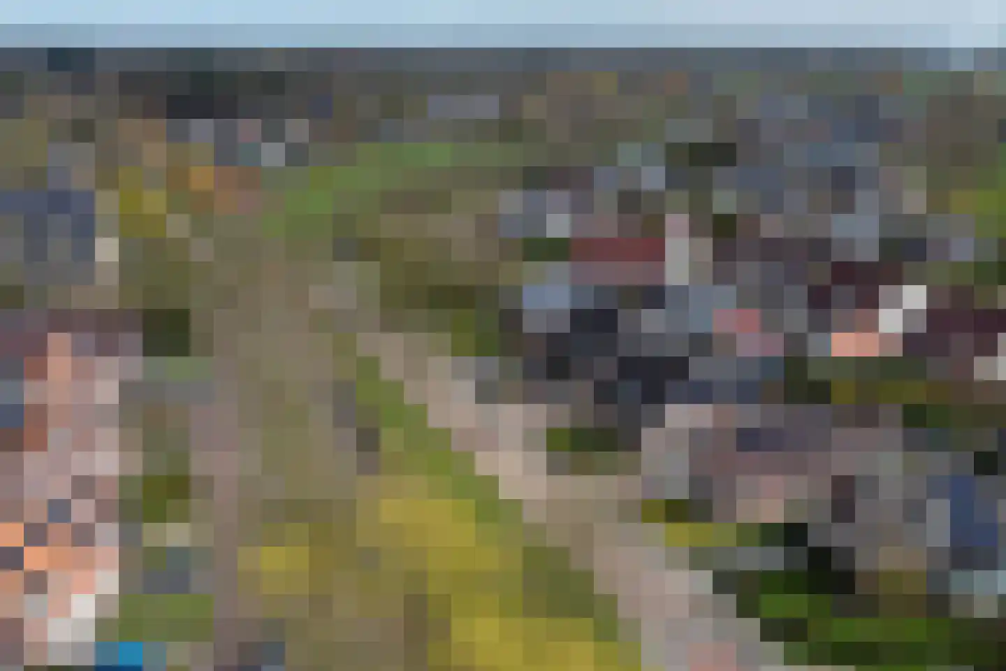 It Heideloantsje 53 A Twijzelerheide thumbnail 5