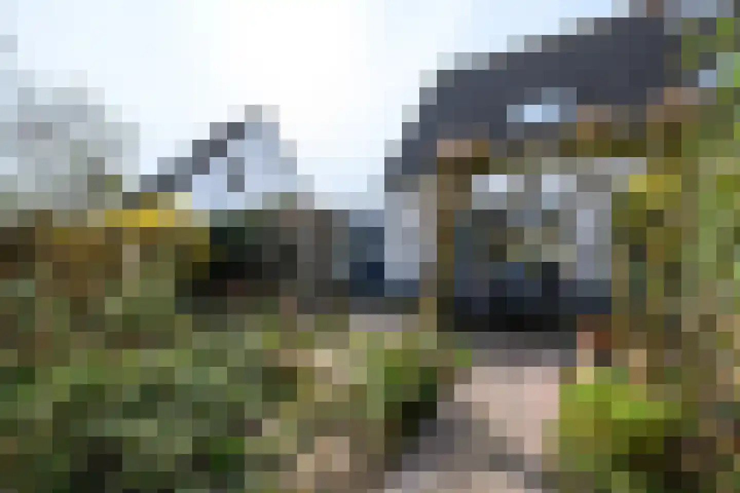it Helmhout 14 Heerenveen thumbnail 27