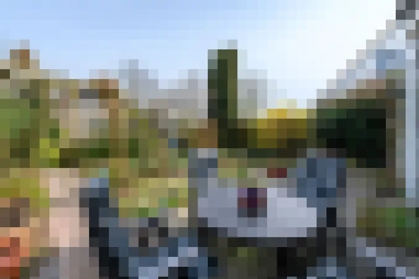 it Helmhout 14 Heerenveen thumbnail 29