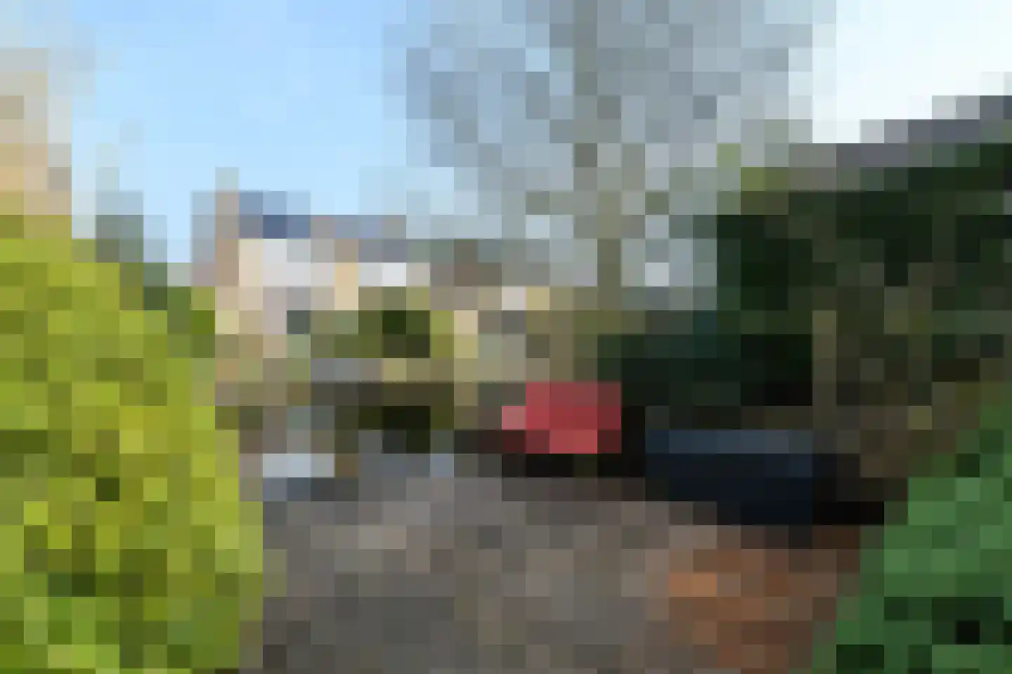 it Helmhout 14 Heerenveen thumbnail 33