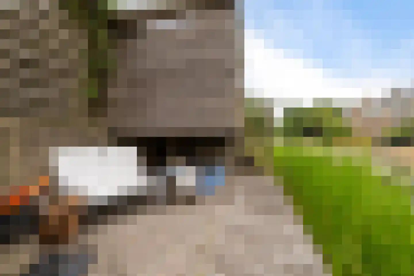 it Helmhout 16 Heerenveen thumbnail 34