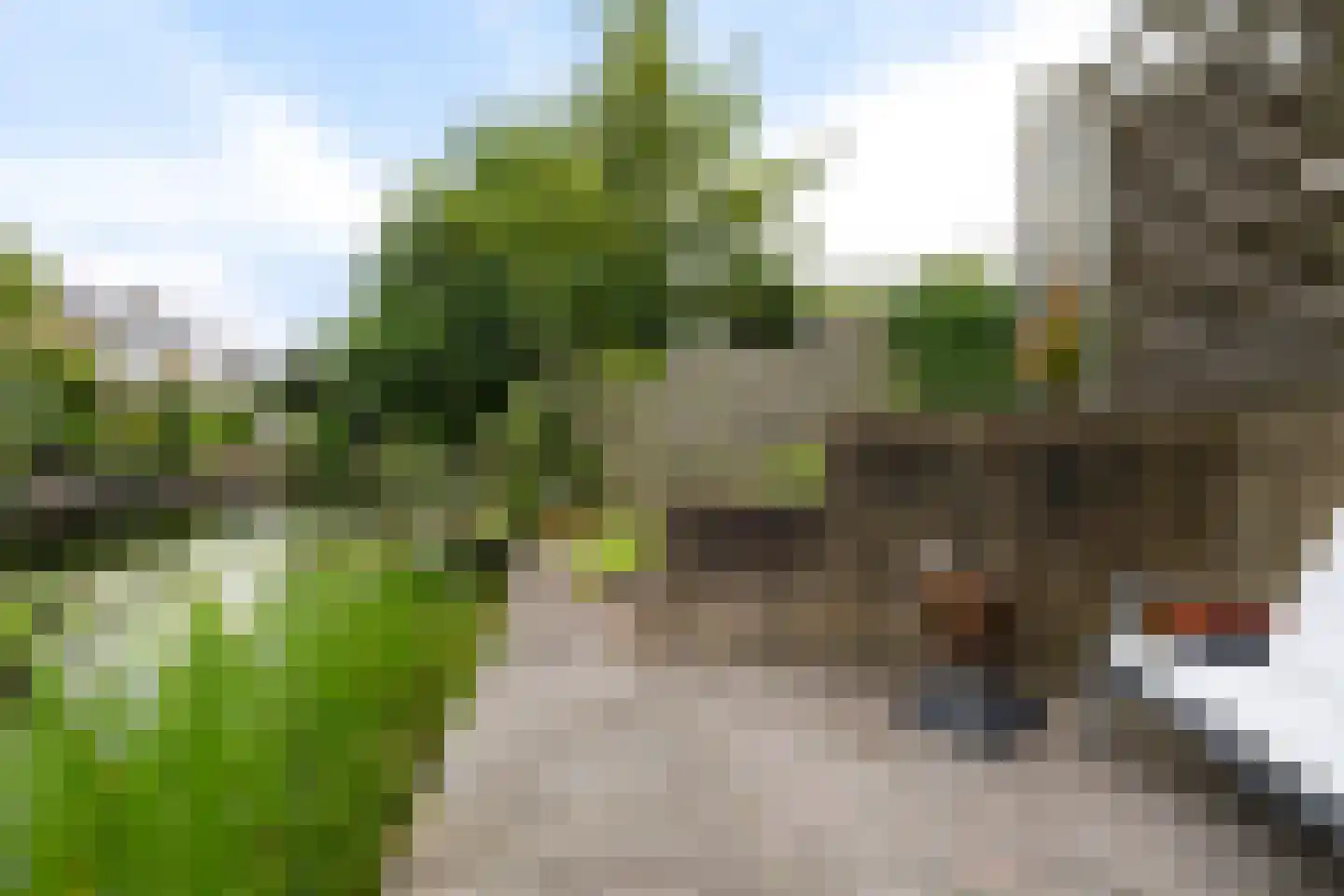 it Helmhout 16 Heerenveen thumbnail 35