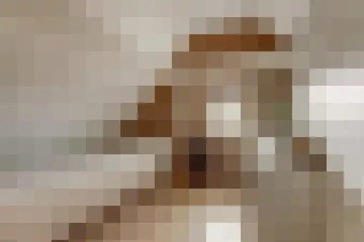 It Hiem 21 Mantgum thumbnail 27