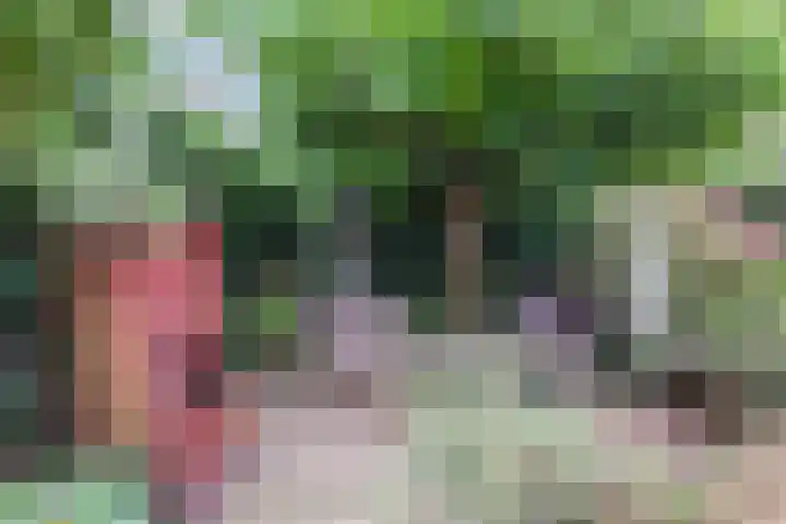 It Hiem 21 Mantgum thumbnail 29