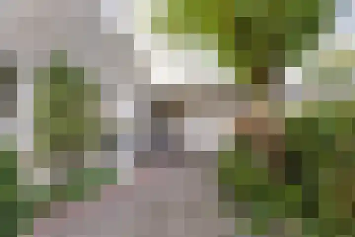 It Hiem 21 Mantgum thumbnail 32