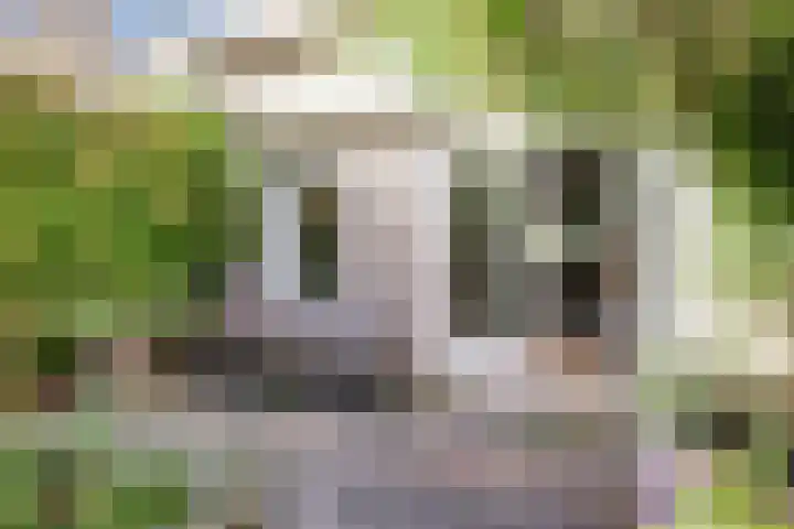 It Hiem 21 Mantgum thumbnail 33
