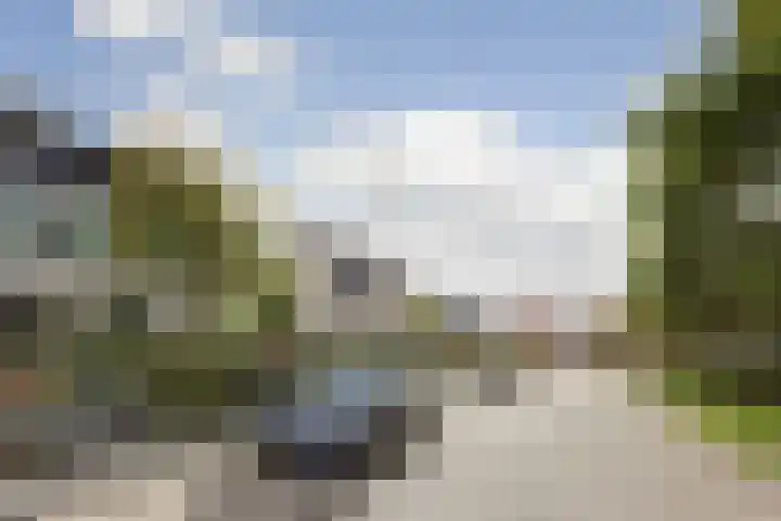 It Hiem 21 Mantgum thumbnail 6