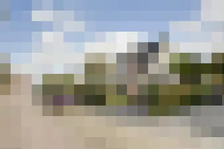 It Hiem 21 Mantgum thumbnail 7