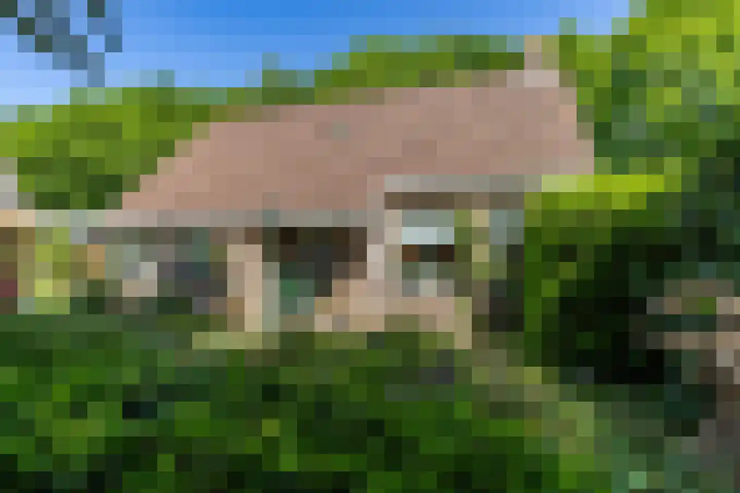 It Hoarnleger 9 Sumar thumbnail 10