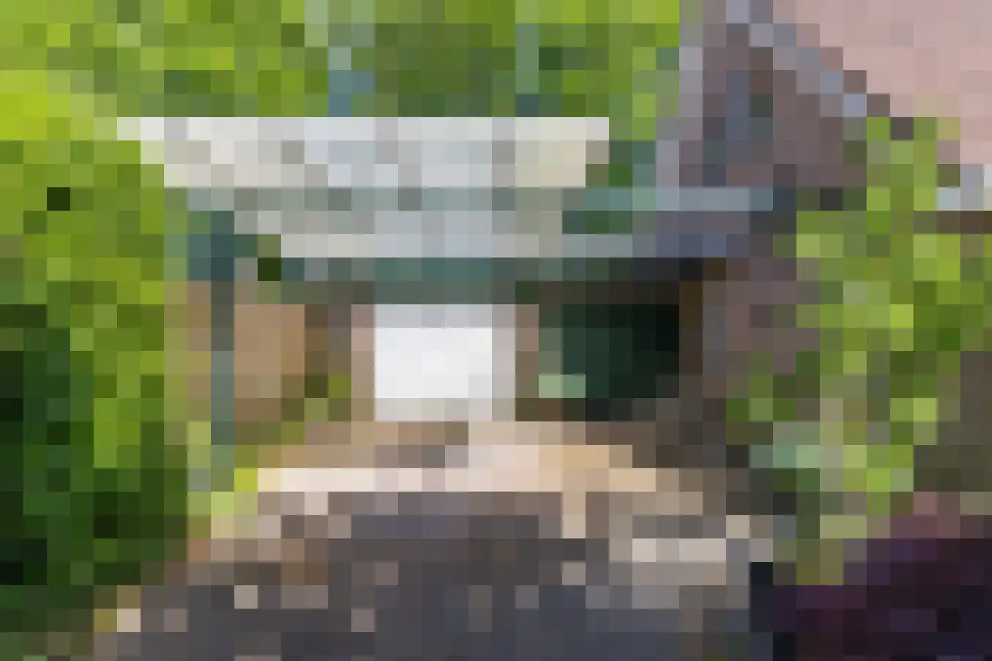 It Hoarnleger 9 Sumar thumbnail 11