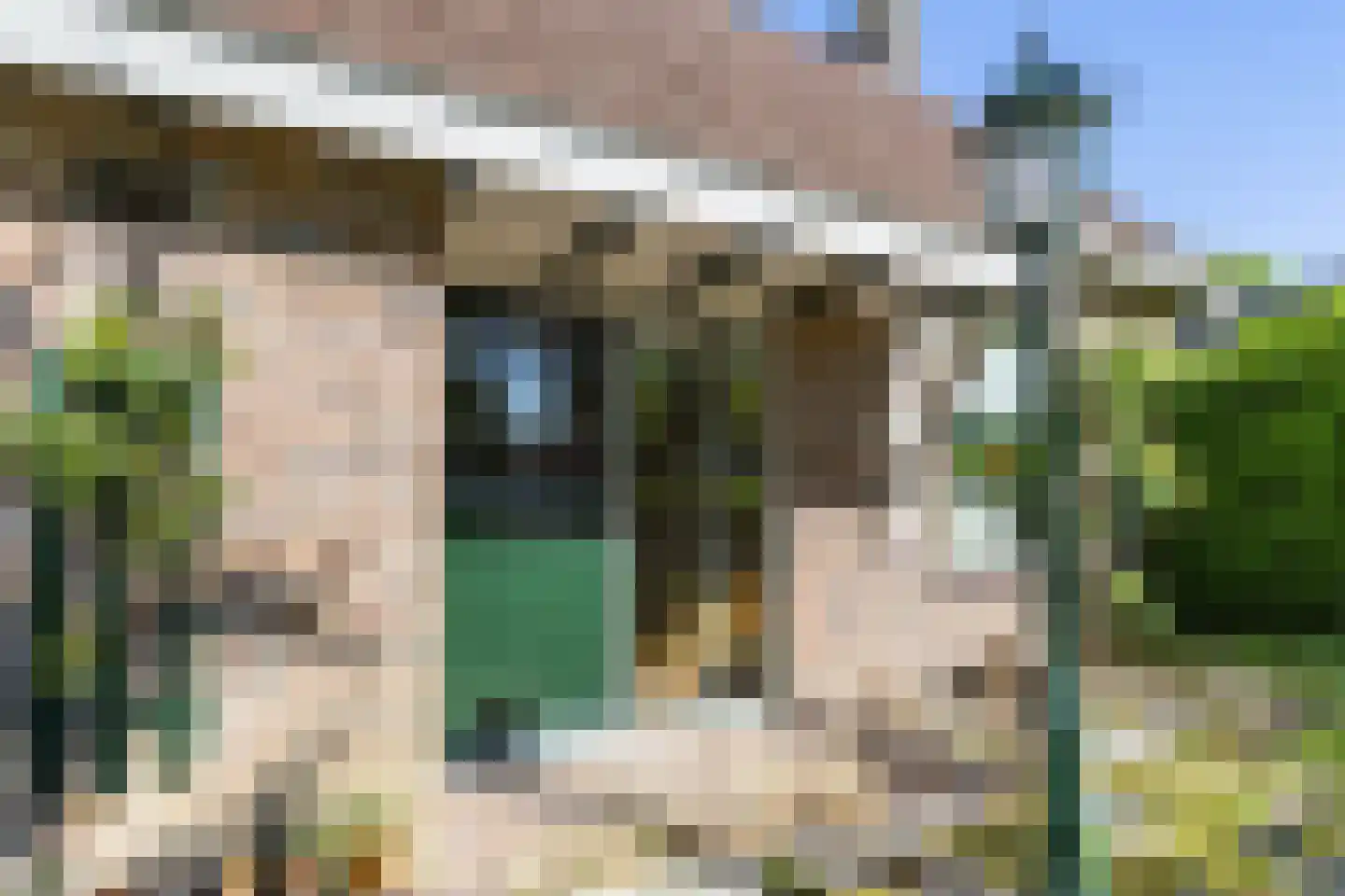 It Hoarnleger 9 Sumar thumbnail 12
