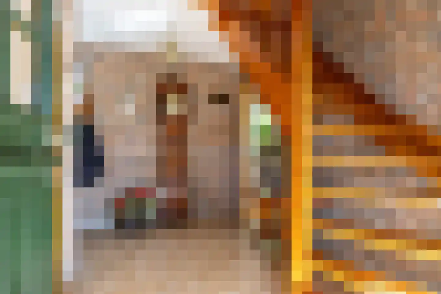 It Hoarnleger 9 Sumar thumbnail 13