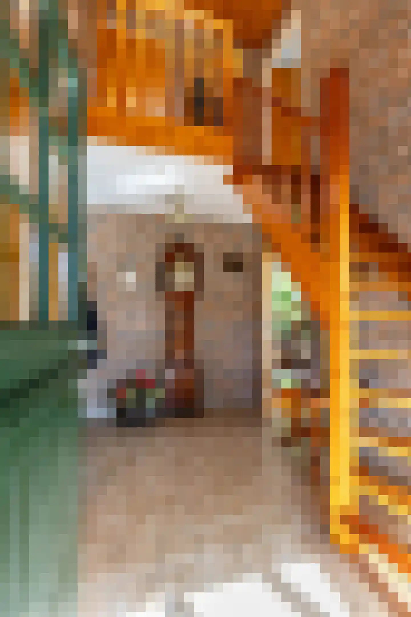 It Hoarnleger 9 Sumar thumbnail 15