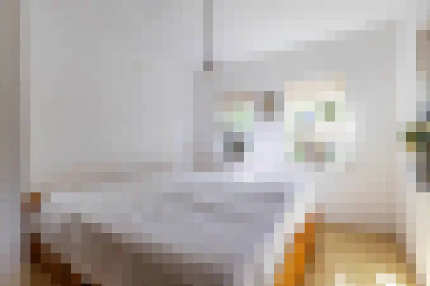 It Hoarnleger 9 Sumar thumbnail 18