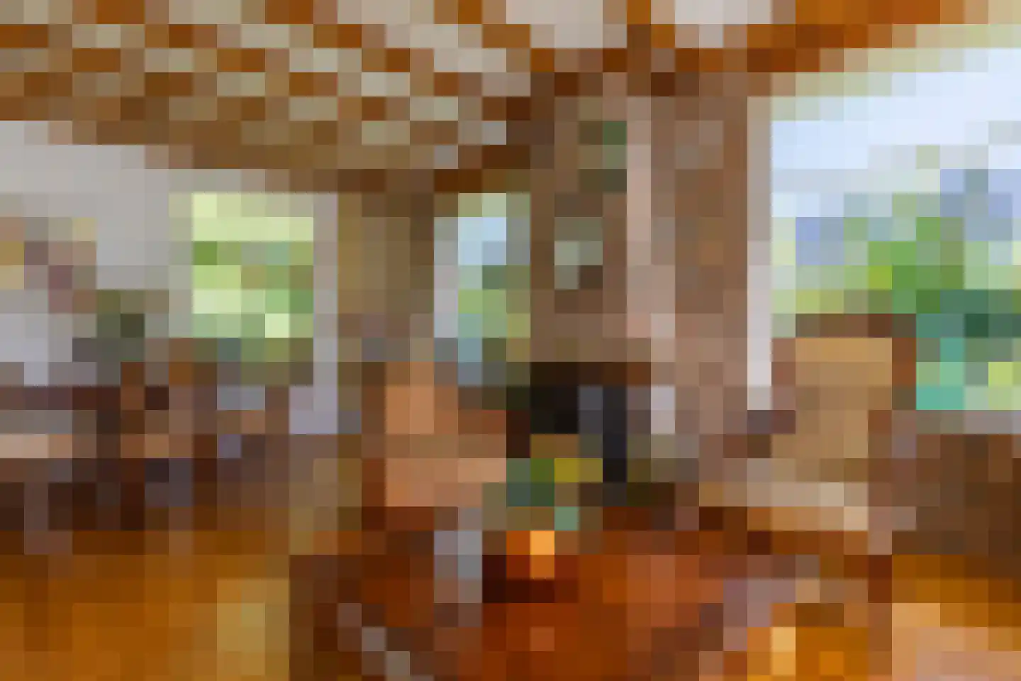 It Hoarnleger 9 Sumar thumbnail 22